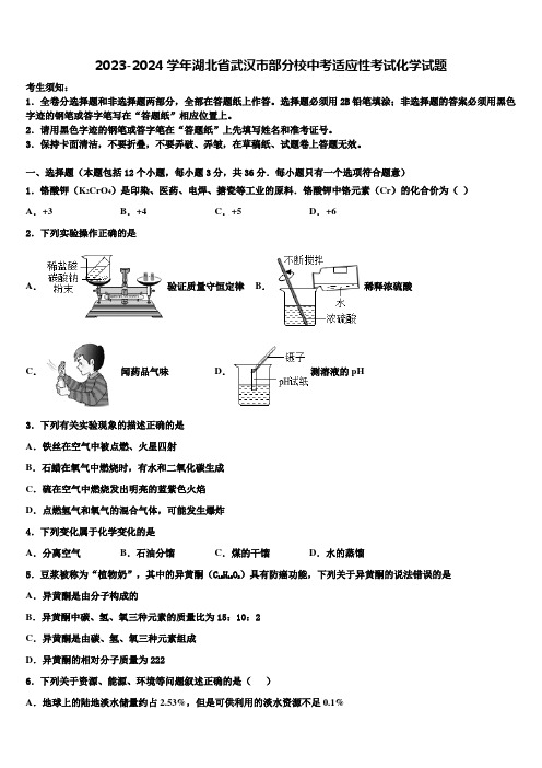 2023-2024学年湖北省武汉市部分校中考适应性考试化学试题含解析