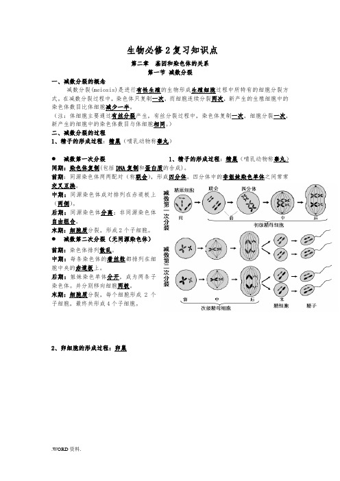 高中生物必修二知识点总结(精华版)