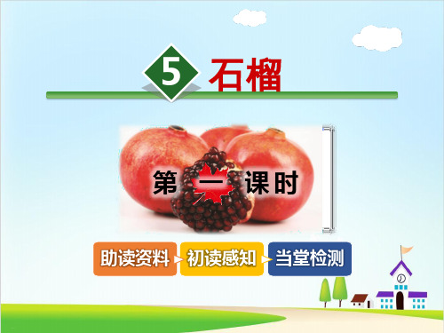 《石榴》ppt下载