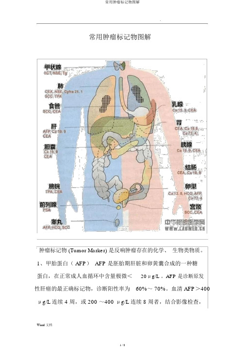 常用肿瘤标志物图解