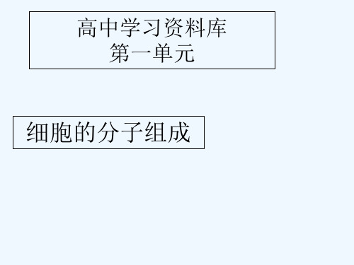 细胞的分子组成 PPT课件