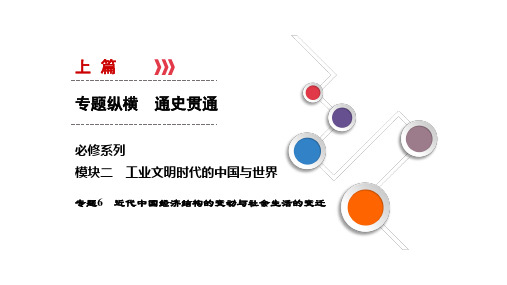 高考历史总复习专题课件-近代中国经济结构的变动与社会生活的变迁