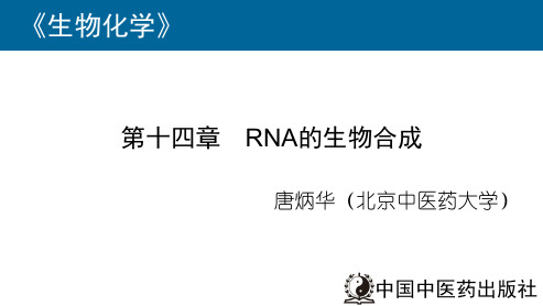 生物化学14RNA的生物合成