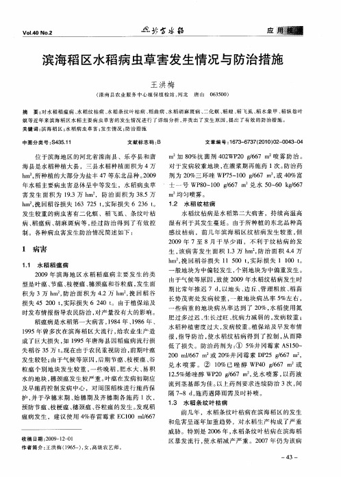 滨海稻区水稻病虫草害发生情况与防治措施