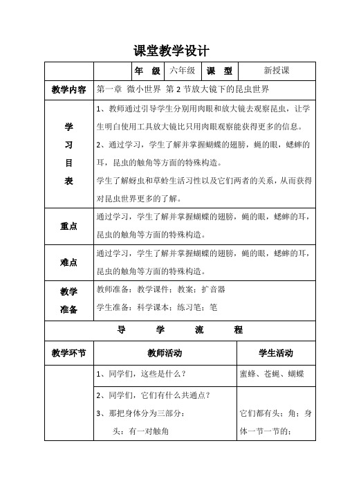 教科版小学科学六年级下册《一 微小世界 放大镜下的昆虫世界》优质课教学设计_20