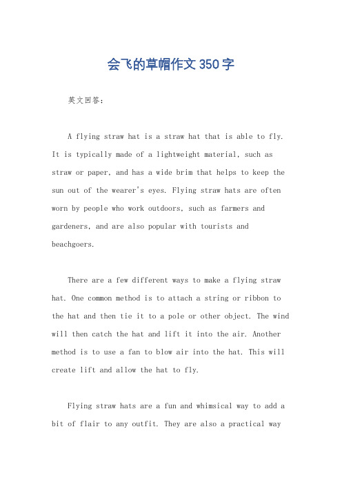 会飞的草帽作文350字