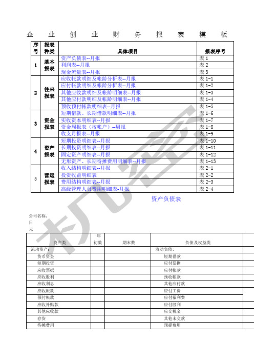 企业创业财务报表