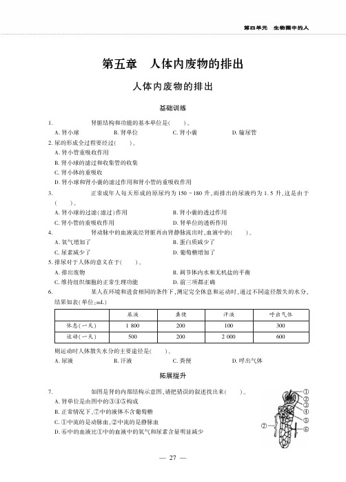 七年级生物下第五章人体内废物的排出练习