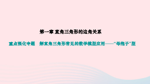 九下第一章直角三角形的边角关系重点强化专题解直角三角形常见的九下模型应用__“母抱子”型作业新版北师