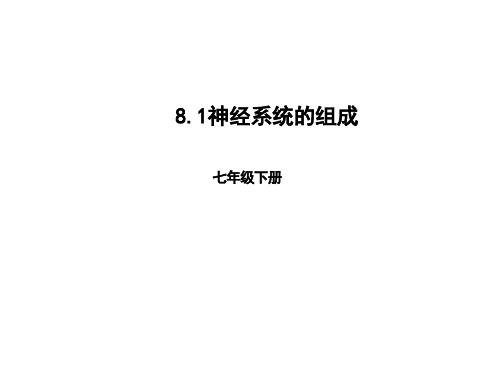 北京课改版七年级生物下册 81神经系统组成(23页)