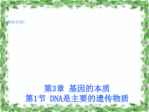 DNA是主要的遗传物质PPT课件人教版