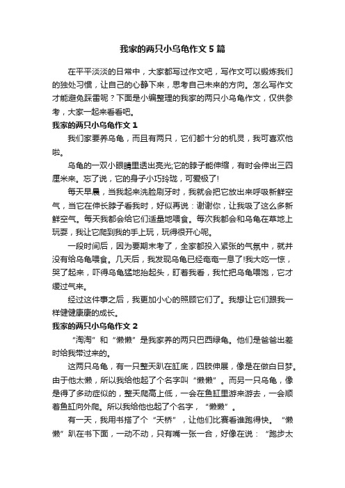 我家的两只小乌龟作文5篇