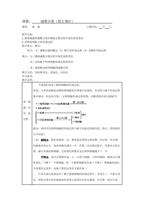 减数分裂第2课时教案
