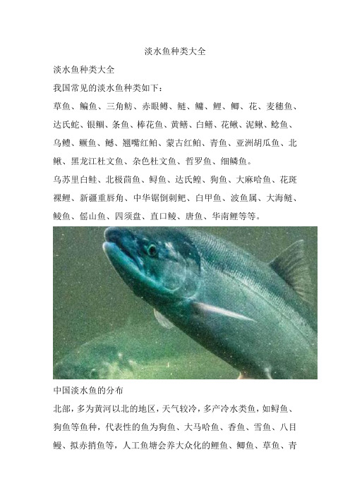 淡水鱼种类大全