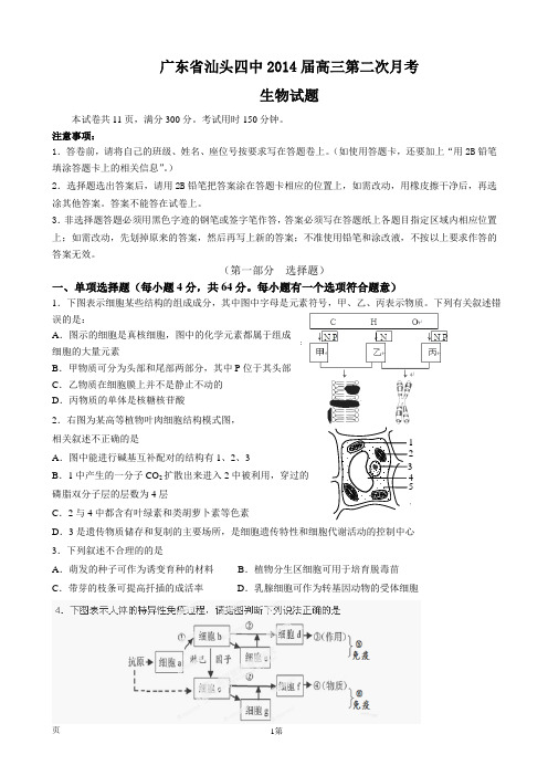 广东省汕头四中2014届高三第二次月考生物试题