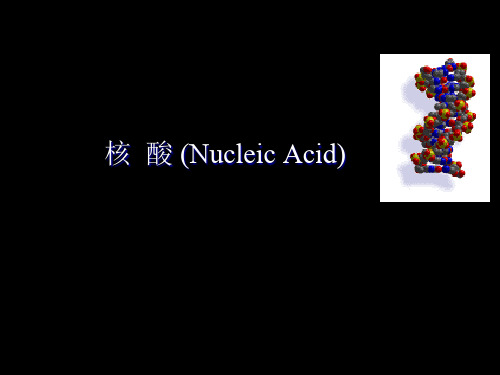 生物化学第三章核酸1