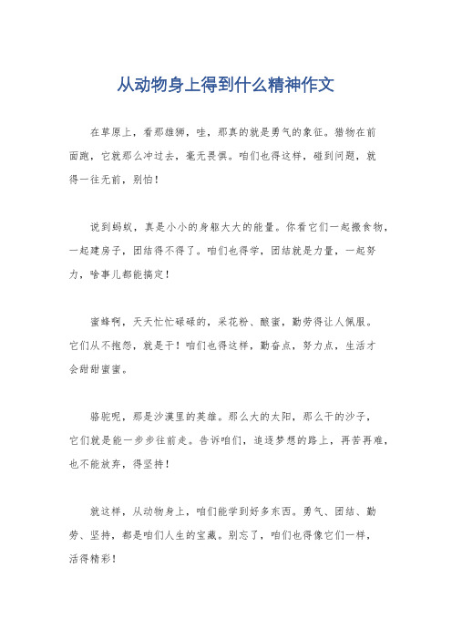 从动物身上得到什么精神作文