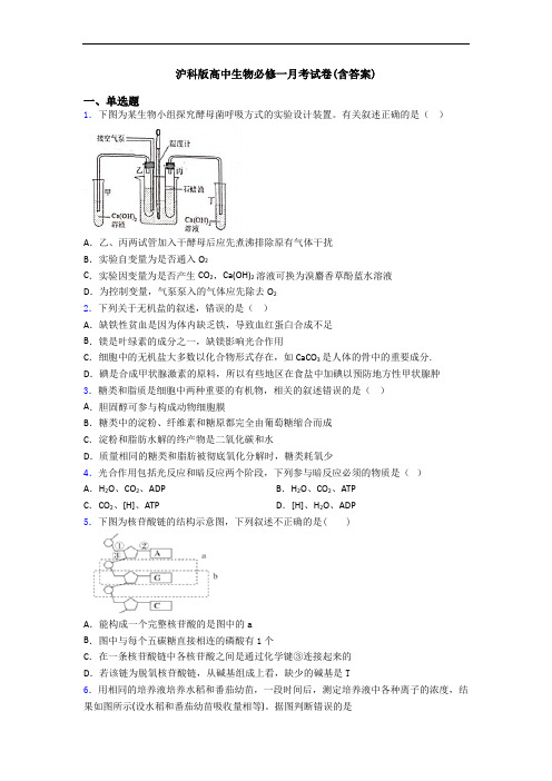 沪科版高中生物必修一月考试卷(含答案)