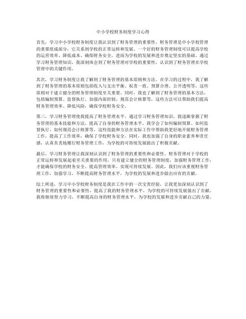 中小学校财务制度学习心得