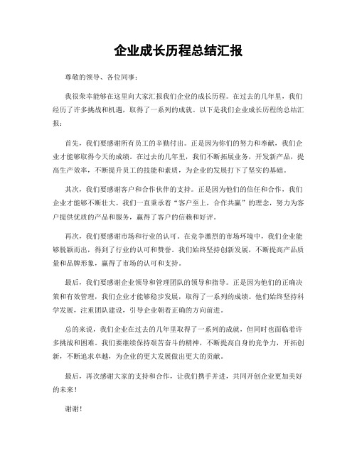 企业成长历程总结汇报