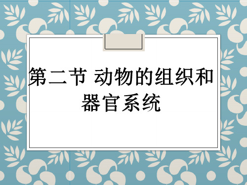 魏道智《普通生物学》第二章 组织、器官和系统(2)