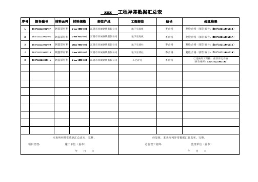 异常数据汇总表模板