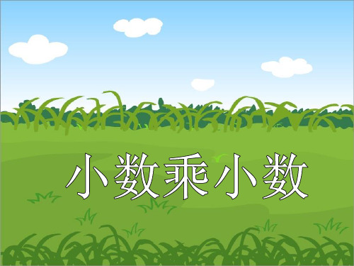 五年级上册数学课件-5.5《小数乘小数》 |苏教版(1秋) (共16张PPT)