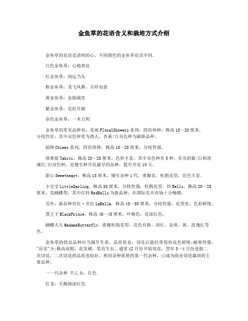 金鱼草的花语含义和栽培方式介绍