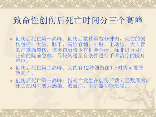 急性致命性创伤抢救流程-文档资料