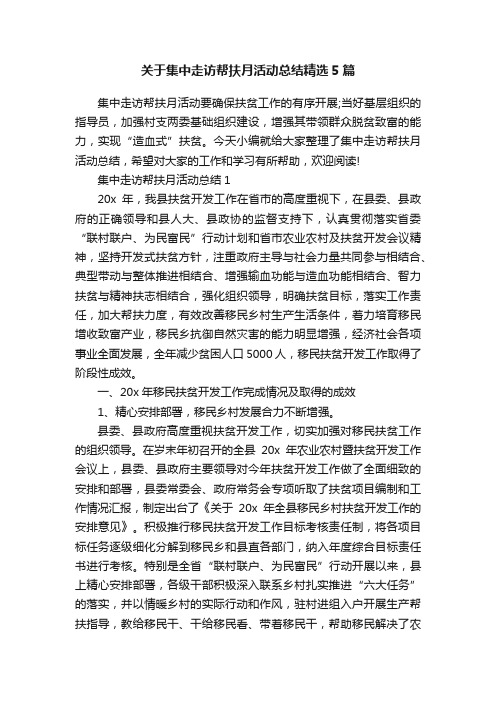 关于集中走访帮扶月活动总结精选5篇