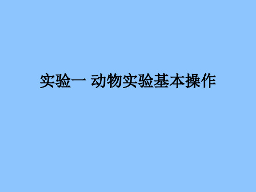 实验一 动物实验基本操作