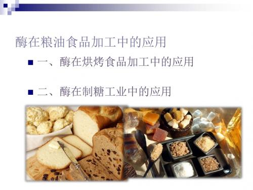 中图版选修一 酶在食品加工中的应用 课件(73张)