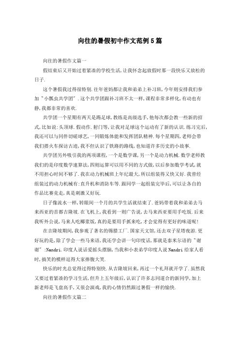 向往的暑假初中作文范例5篇