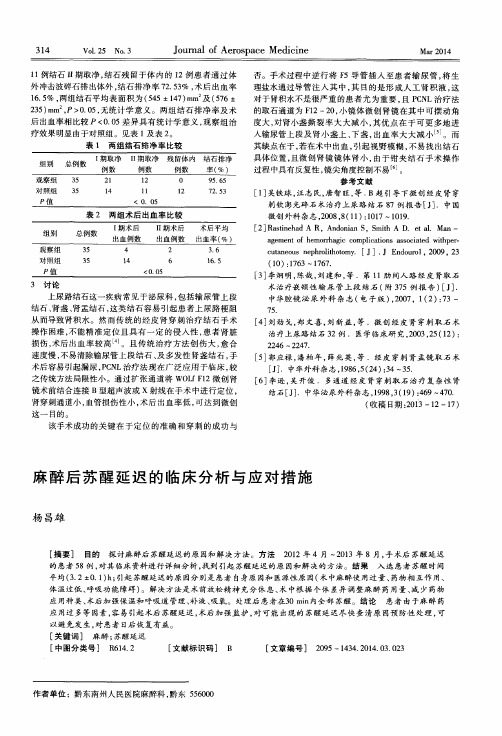 麻醉后苏醒延迟的临床分析与应对措施