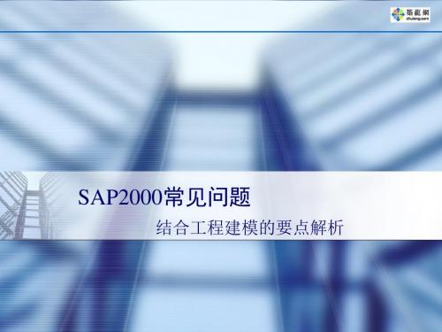 05Sap2000常见问题结合工程建模的要点解析PPT课案