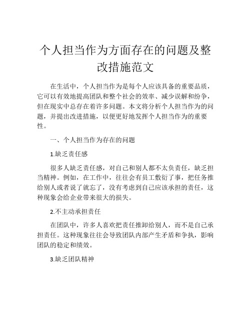 个人担当作为方面存在的问题及整改措施范文