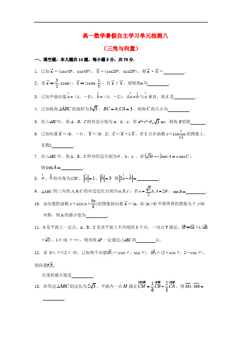 江苏省南通市通州区高一数学暑假自主学习 单元检测八 三角与向量