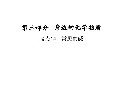 广东省2020-2021学年中考化学一轮复习考点突破课件 考点14  常见的碱