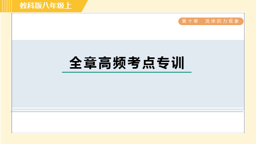 2024年教科版八年级下册物理第十章流体的力现象全章高频考点专训