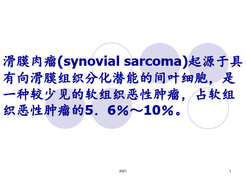 滑膜肉瘤PPT课件