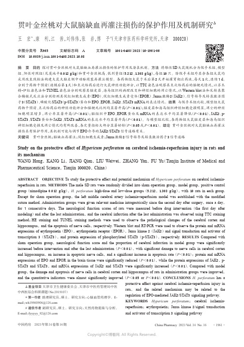 贯叶金丝桃对大鼠脑缺血再灌注损伤的保护作用及机制研究