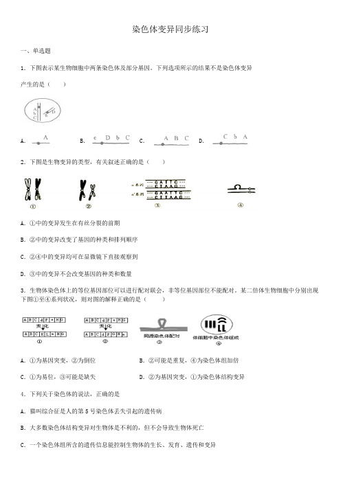 5.2 染色体变异 -人教版高中生物必修2同步练习