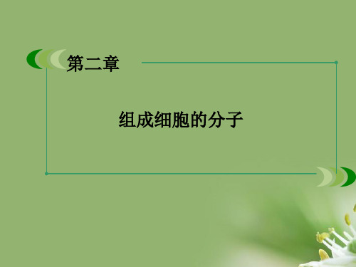 遗传信息的携带者——核酸ppt46 人教课标版精选教学PPT课件