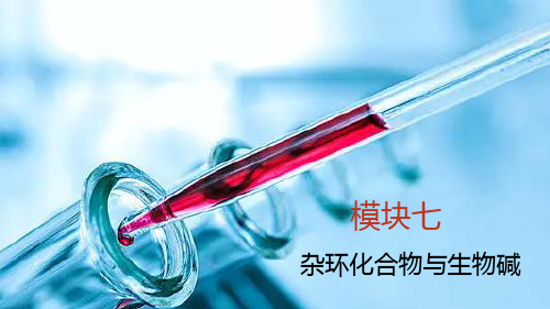 中职化学《生物碱》课件