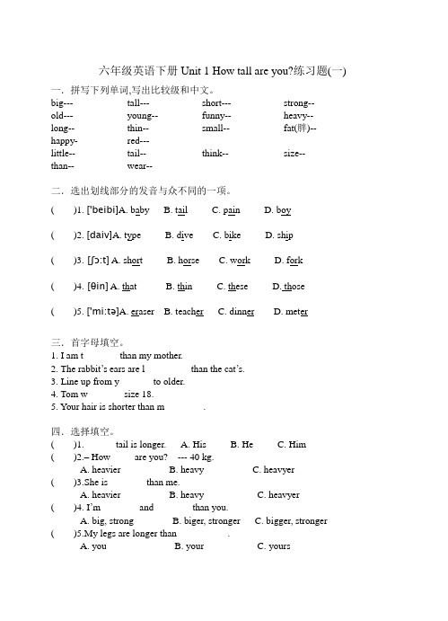 六年级英语下册Unit 1 How tall are you