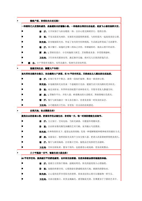 经典十大户型说明文案