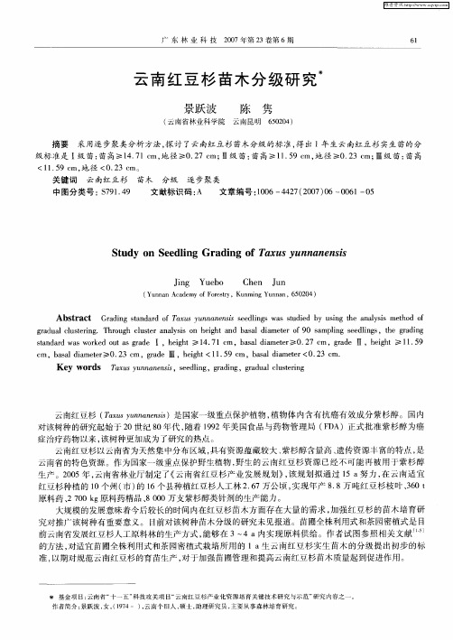 云南红豆杉苗木分级研究