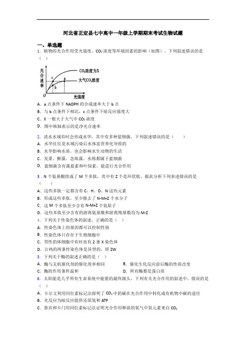 河北省正定县七中高中一年级上学期期末考试生物试题