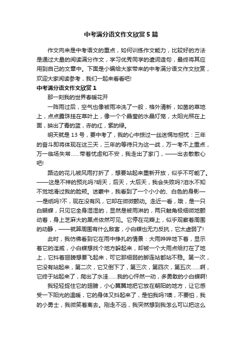 中考满分语文作文欣赏5篇