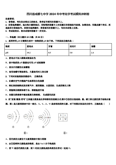 四川省成都七中学2024年中考化学考试模拟冲刺卷含解析